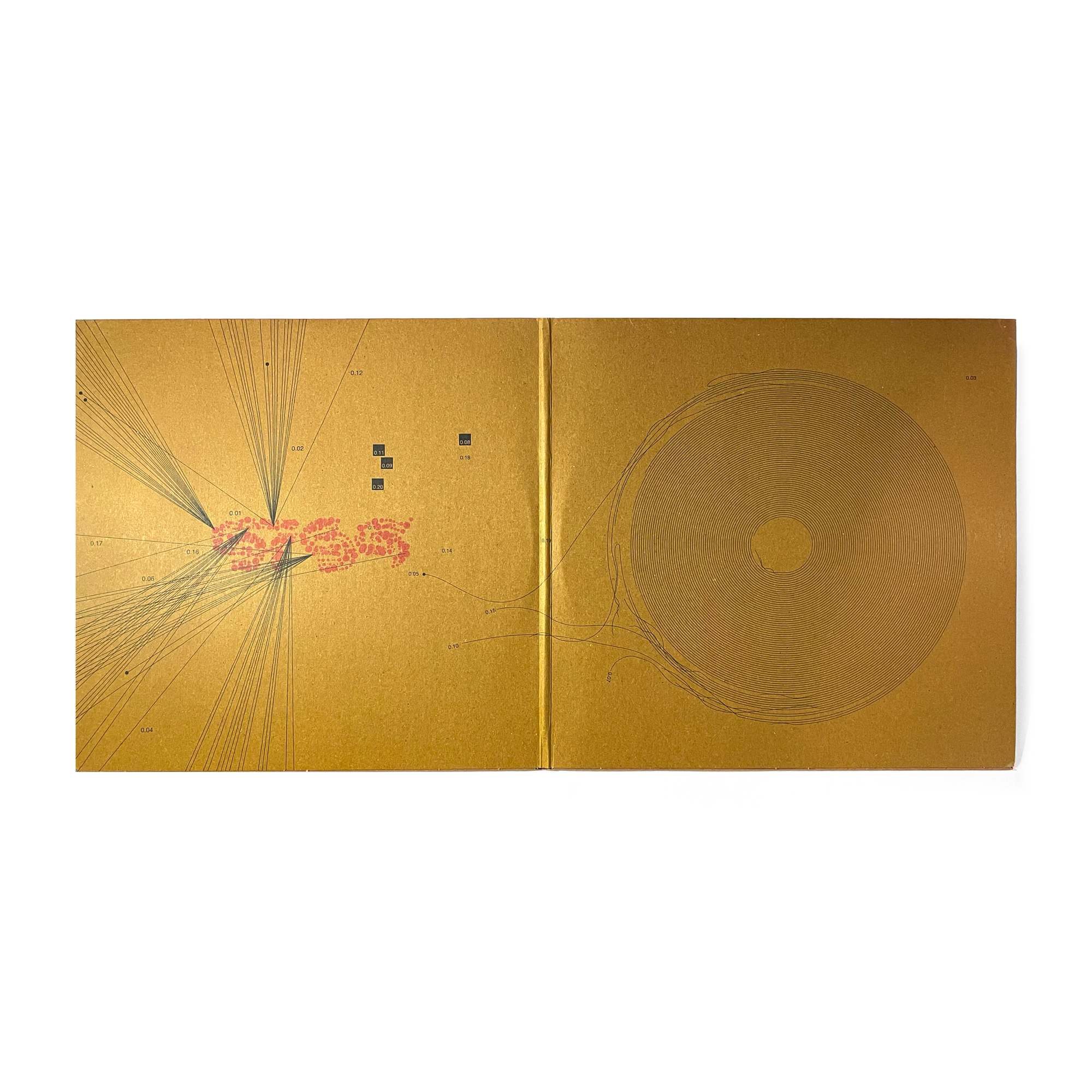 Artifact 20th Anniversary 2xLP / Storm Vinyl