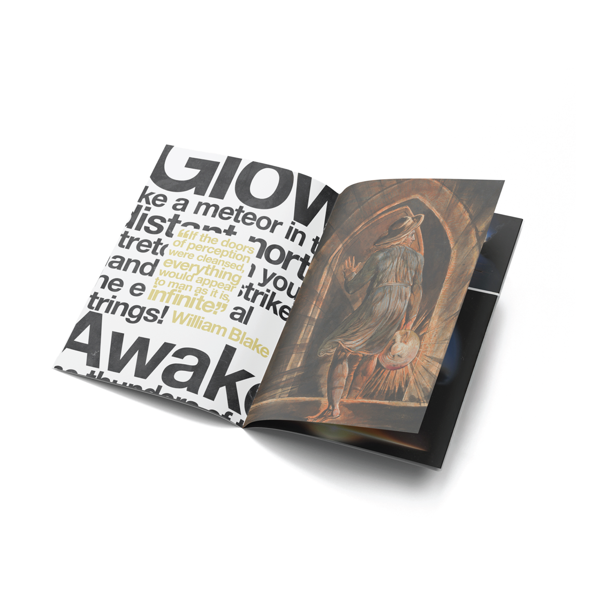 Human Dream 2xLP / Deluxe Vinyl