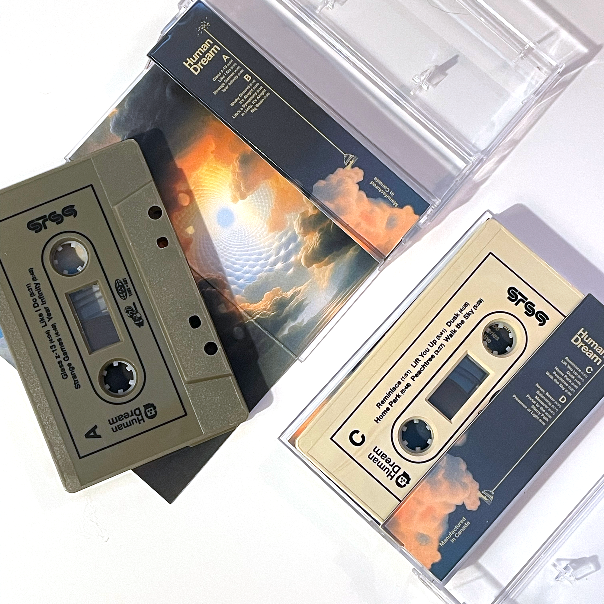 Human Dream 2xLP / Cassette Tapes
