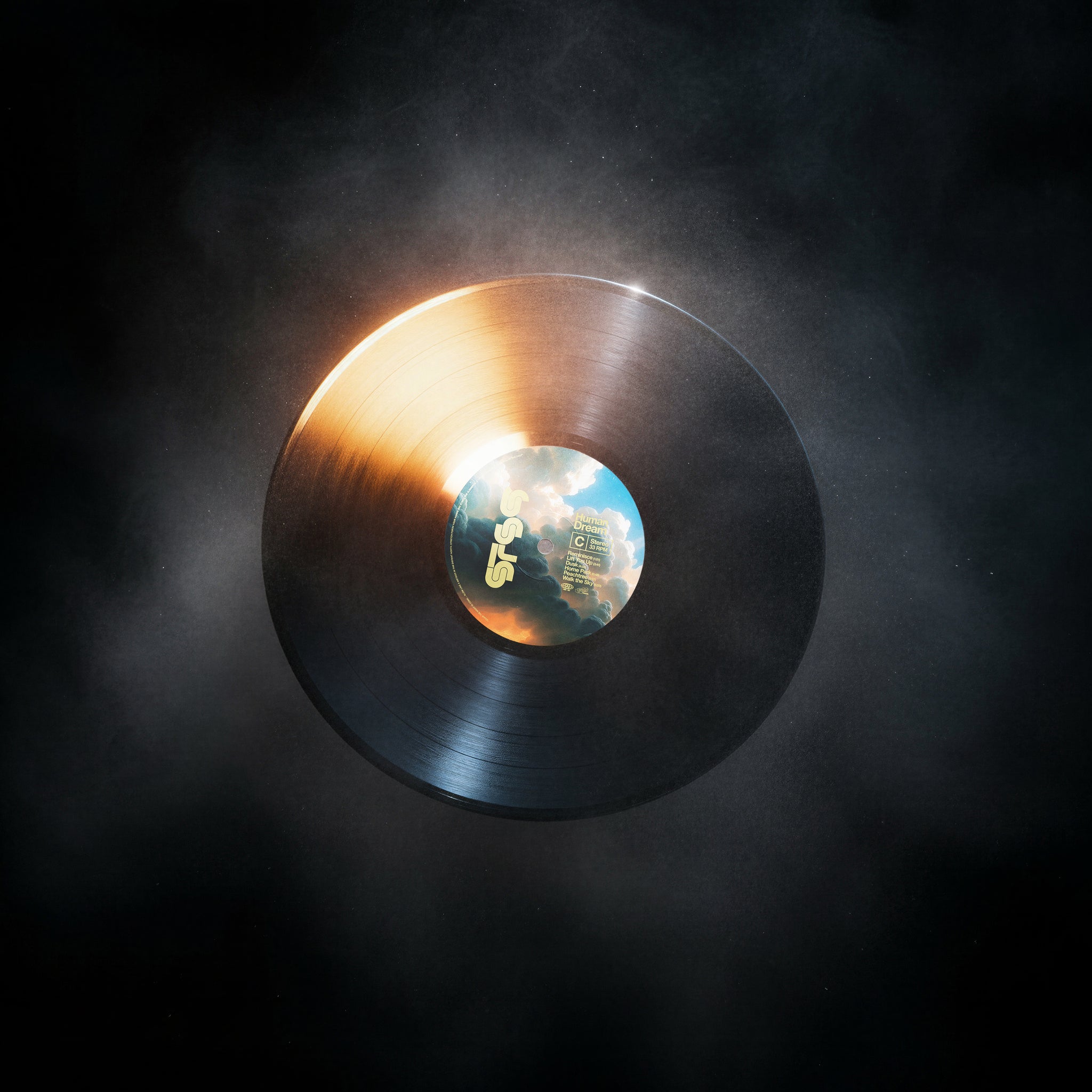 Human Dream 2xLP / Standard Vinyl