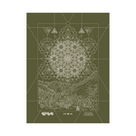 Kris Davidson "Cicada" / Mishawaka Event Poster