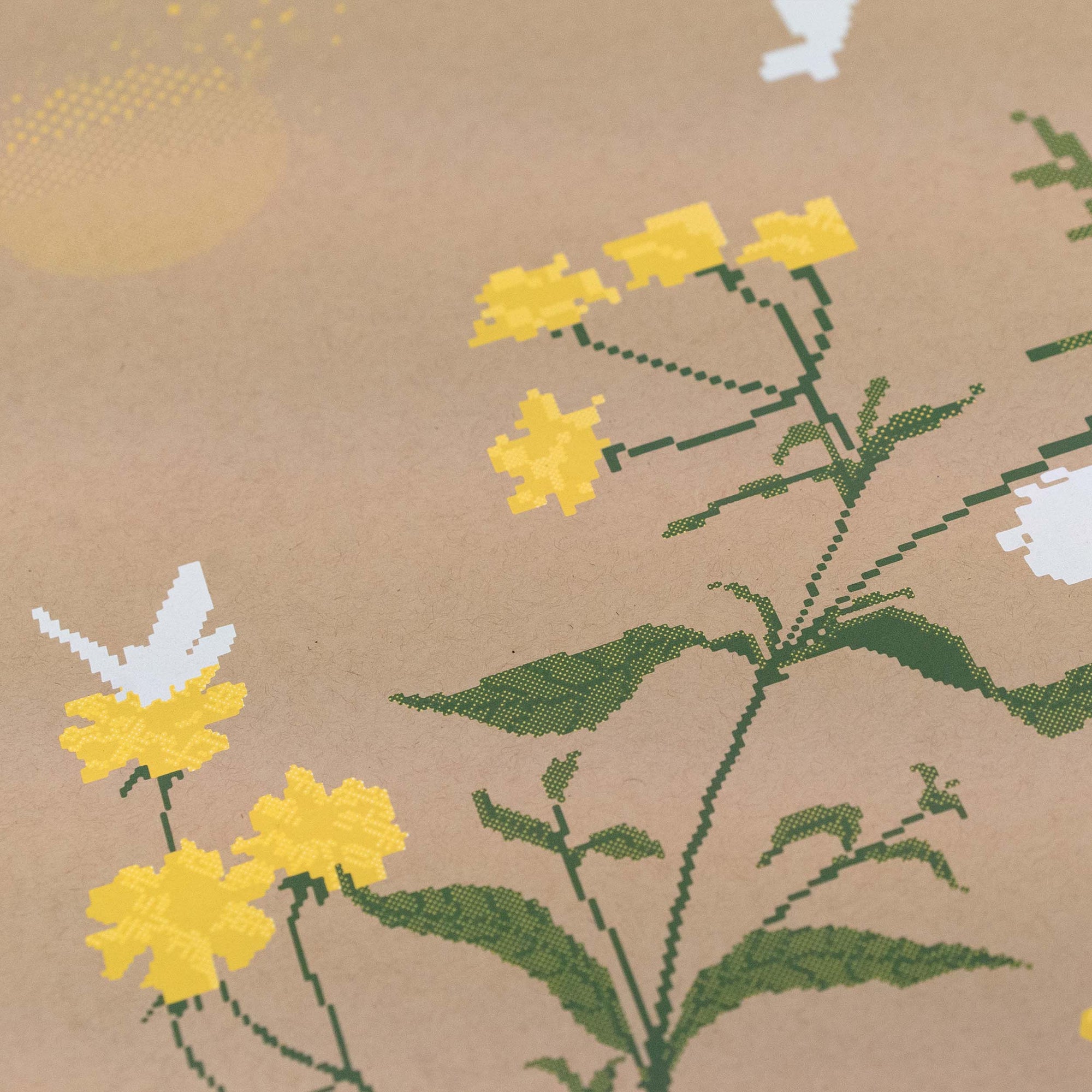 2024 Pine Creek / Poster