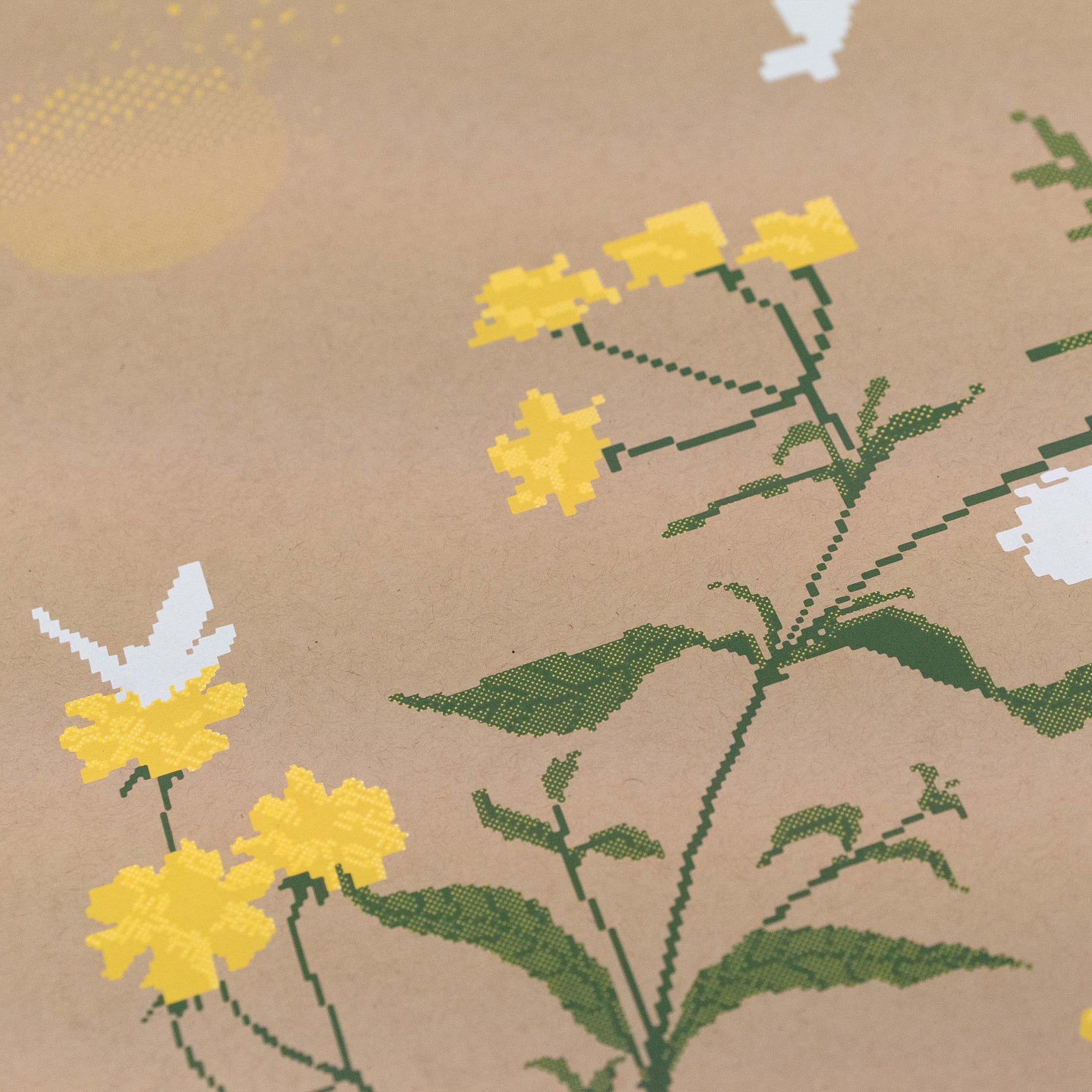 2024 Pine Creek / Poster