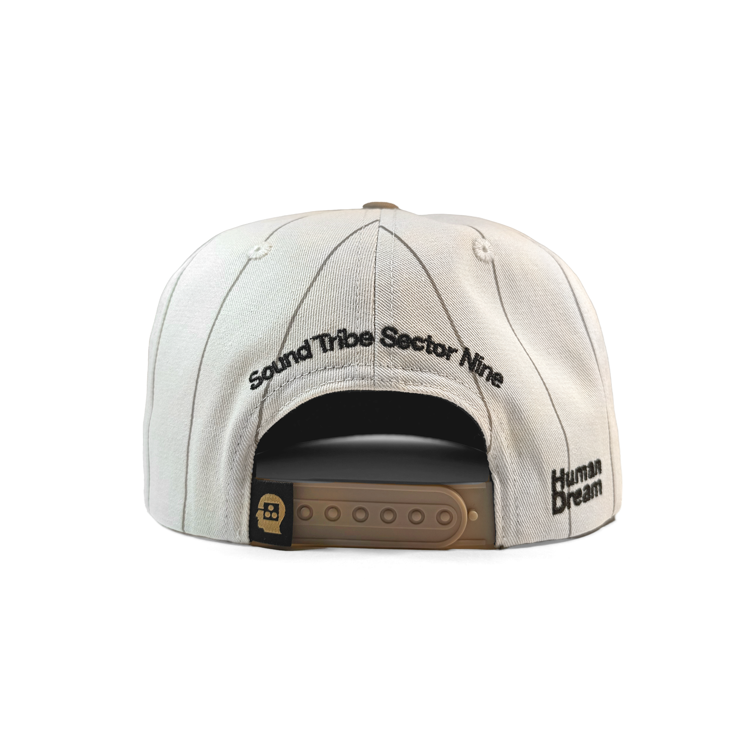 STS9 Pinstripe Logo / Hat