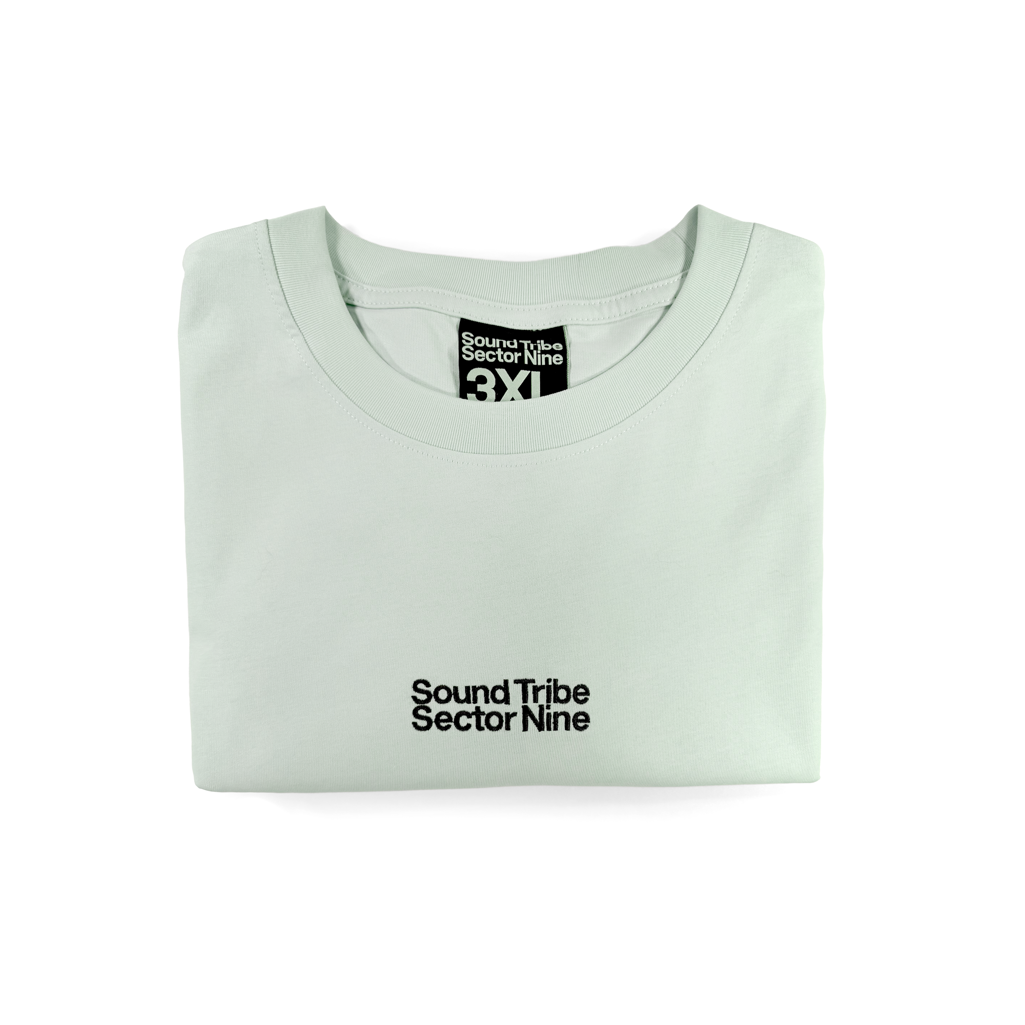 Good for Everyday (Mint) / SS Tee