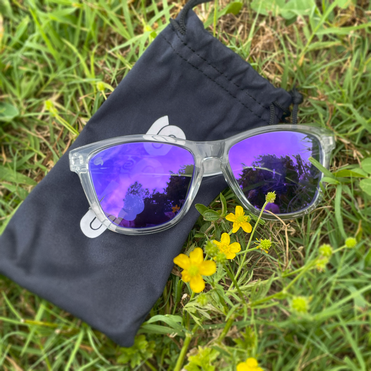 STS9 Wayfarers (Purple)